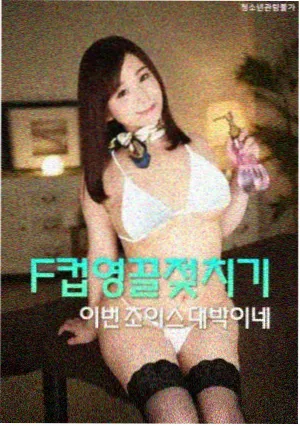 入门指南四步流程示意图