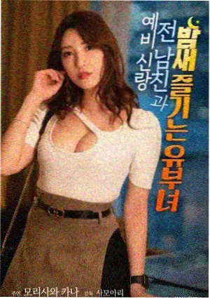 名词图鉴分类示意配图